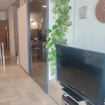 Apartman Bel Les Pieds Dans L'eau *